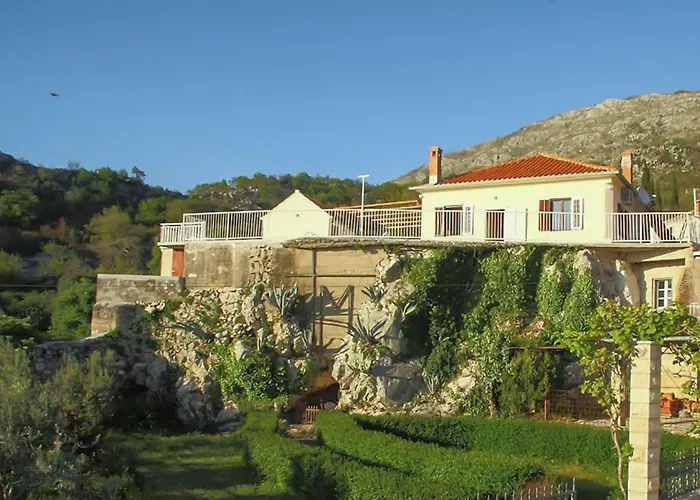 Pet Friendly In * Gruda