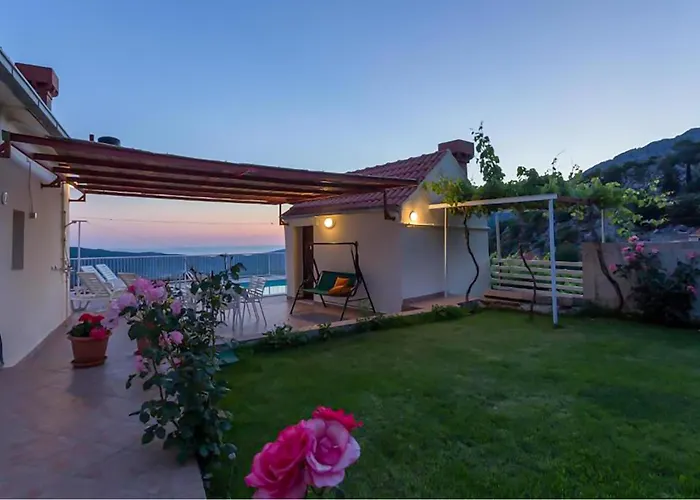 Pet Friendly In * Gruda