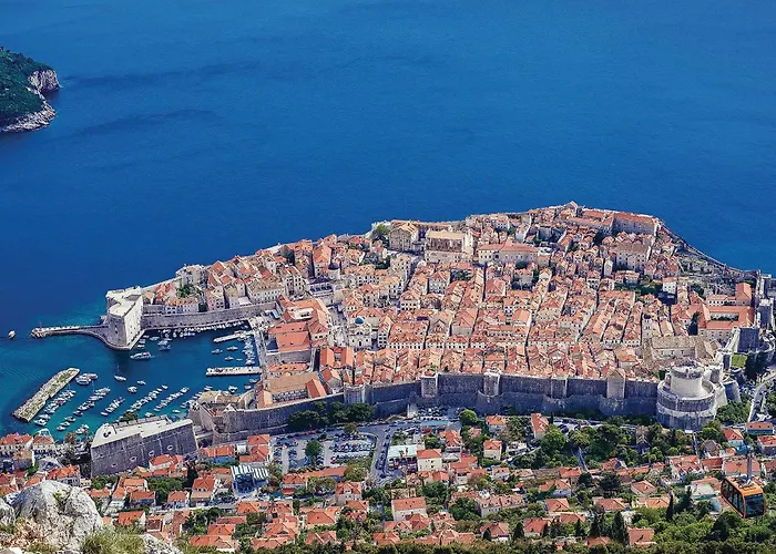 Pet Friendly In * Gruda